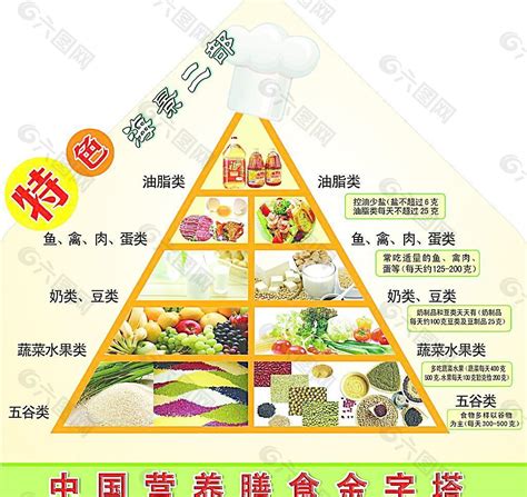 食物金|营养膳食怎么搭配——营养金字塔